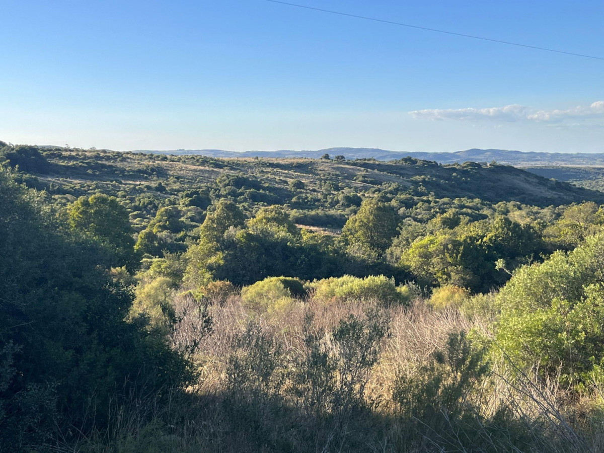 Chacras de 10 ha en venta, sobre Ruta 39