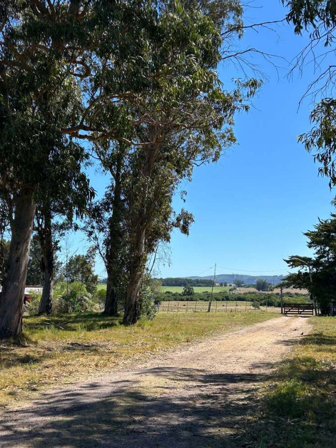 Chacra de 6 ha con Casa de 2 dormitorios en Venta