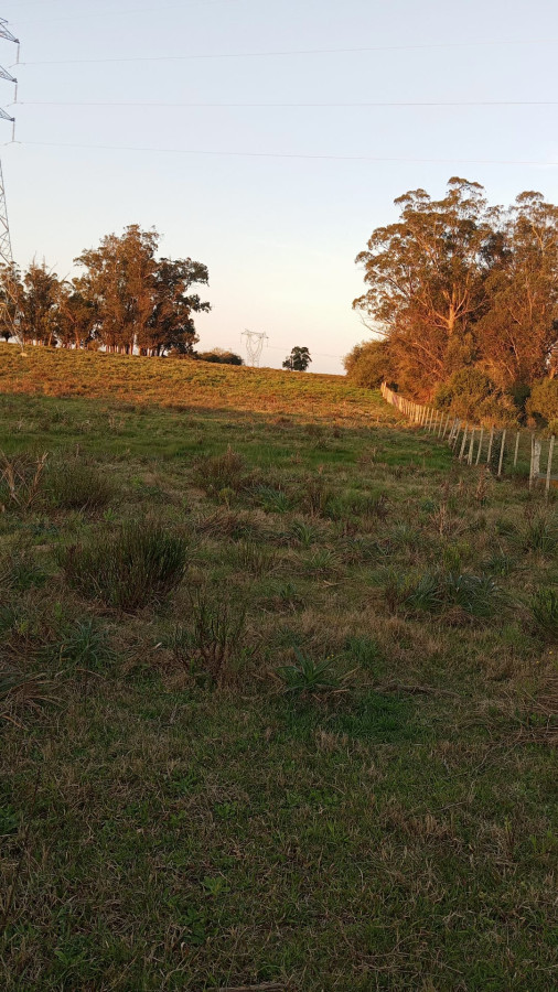 Chacra de 3ha en Venta, San Carlos, con financiación 