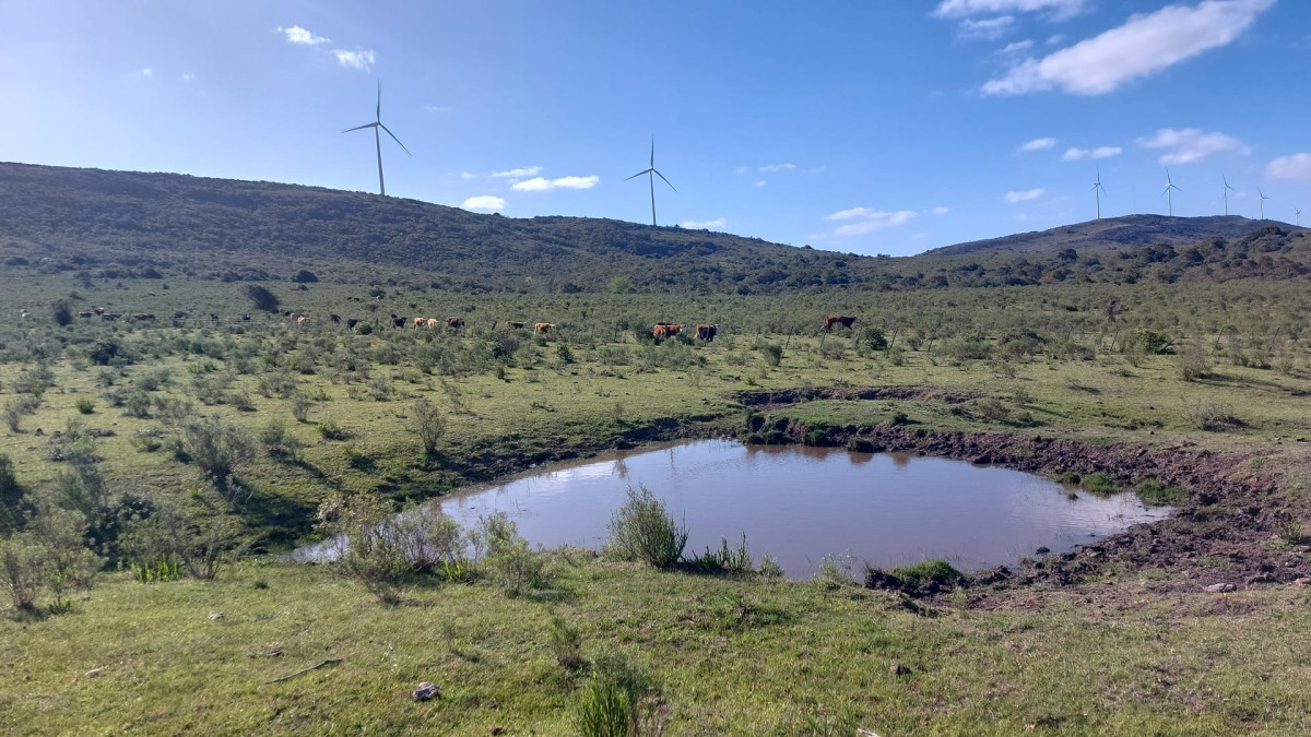 Chacras en venta, 5,6,7 hectáreas, sierra de los caracoles