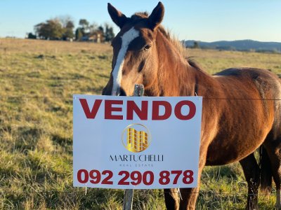 Campo de 54 ha en venta en San Carlos
