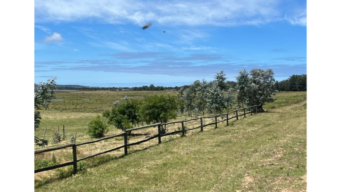 Chacra 5 hectáreas sobre la laguna José Ignacio, vecina al polo