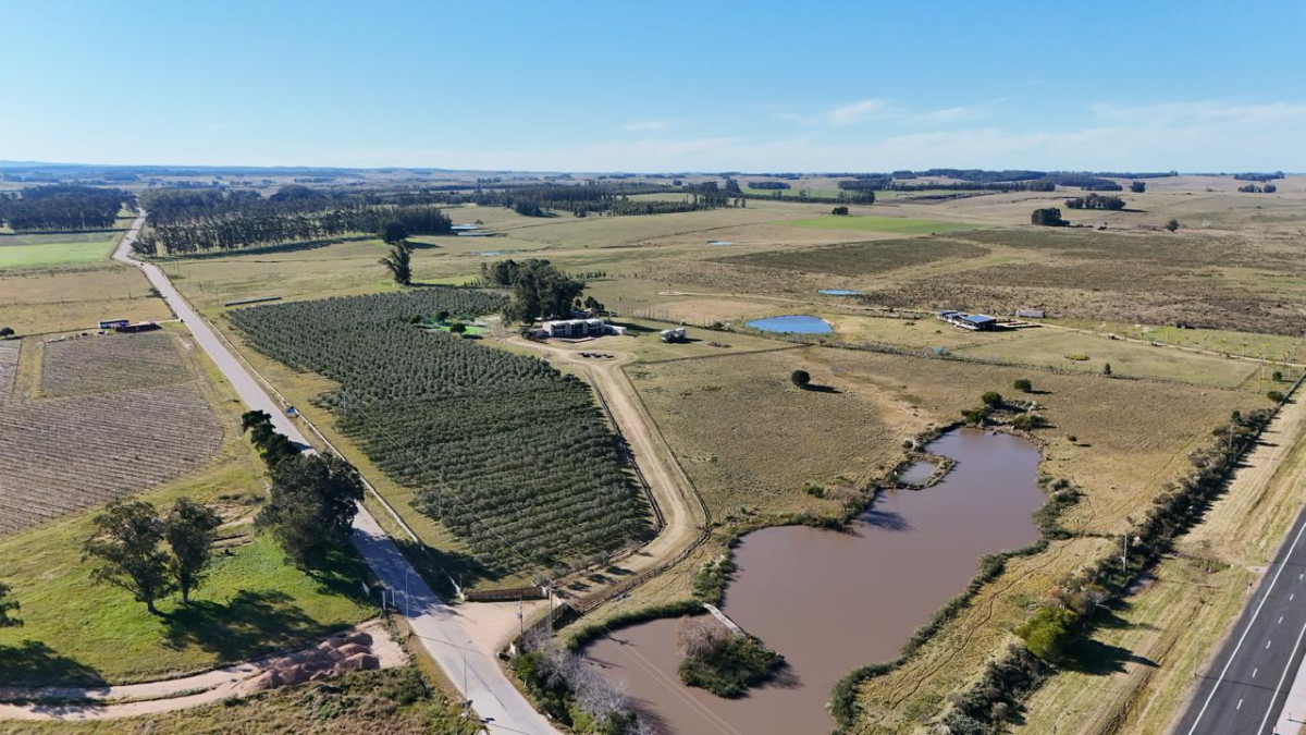 Chacra de 12 hectáreas y 6 suites en José Ignacio. Oportunidad única!!