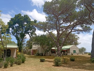 Exclusiva propiedad de 74 hectáreas con 6 habitaciones en la zona más codiciada de José Ignacio.
