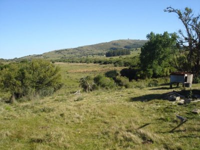 Campo natural 98 hectáreas Sierra de Carapé. Gran aptitud turística