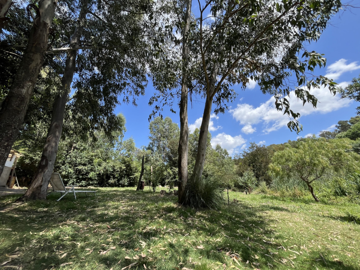 Venta de terrenos en El Tesoro