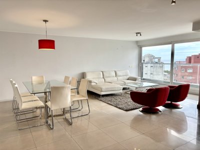 Amplio departamento Playa Mansa