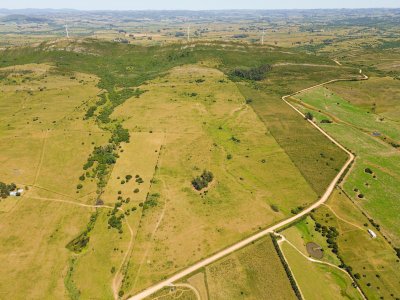 Campo EN VENTA - Los Caracoles - Maldonado 