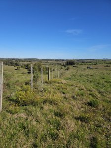 Chacra de 5 hectáreas en Pan de azucar con indice de productivo superior a los 115  