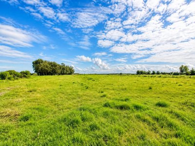 Venta de chacra de 8 hectáreas 