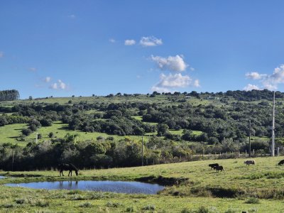 Venta Chacra con 2 Casas en Las Cañas Ruta 39 Maldonado