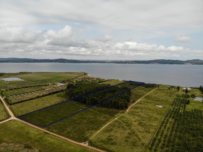 Venta Chacra 5 Hectáreas sobre la Laguna del Sauce Punta Ballena