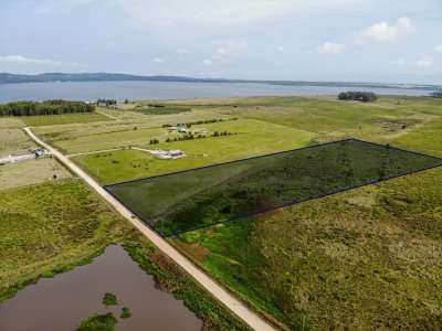 Venta Chacra 5 Hectáreas Laguna del Sauce Punta Ballena