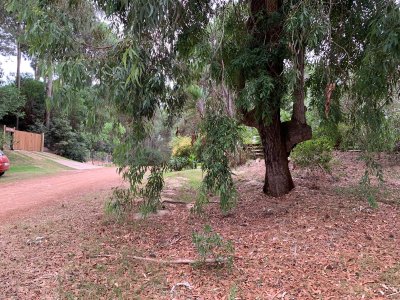 Venta Terreno Club del Lago Punta Ballena