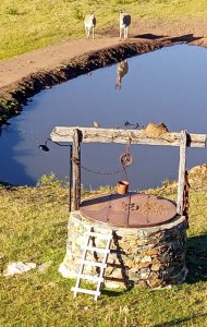 Hermosa chacra con arrollo y 2 tajamares Pueblo Edén 