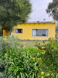 Chacra en venta 3 hs sobre ruta 9, Garzón, Punta del Este