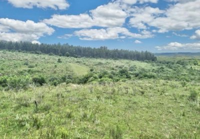 EXCELENTE CHACRA A 6 KILOMETROS DE PUEBLO EDEN 