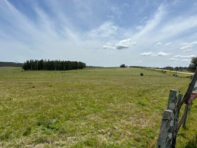 Campo en venta, perteneciente a San Carlos