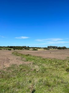 VENTA CAMPO EN SAN CARLOS