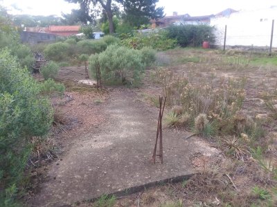 Venta Terreno en Altos del Pinar