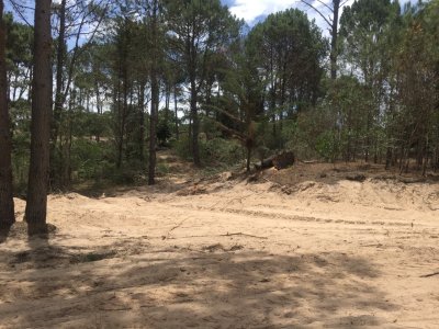 Terreno en venta en Club del Lago, Punta del Este