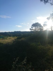 Gran terreno en Rincón del Indio. 2300m2. Punta del Este. 