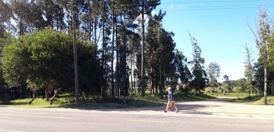 Oportunidad Inversionistas !! Amplio Terreno Esquinero Sobre Av. Gral. Leandro Gómez