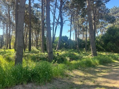 Terreno en venta, Reserva barra Montoya