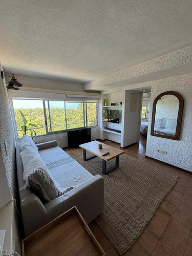 Alquiler anual en apartamento amoblado de 1 dormitorio con piscina, Punta Del Este.