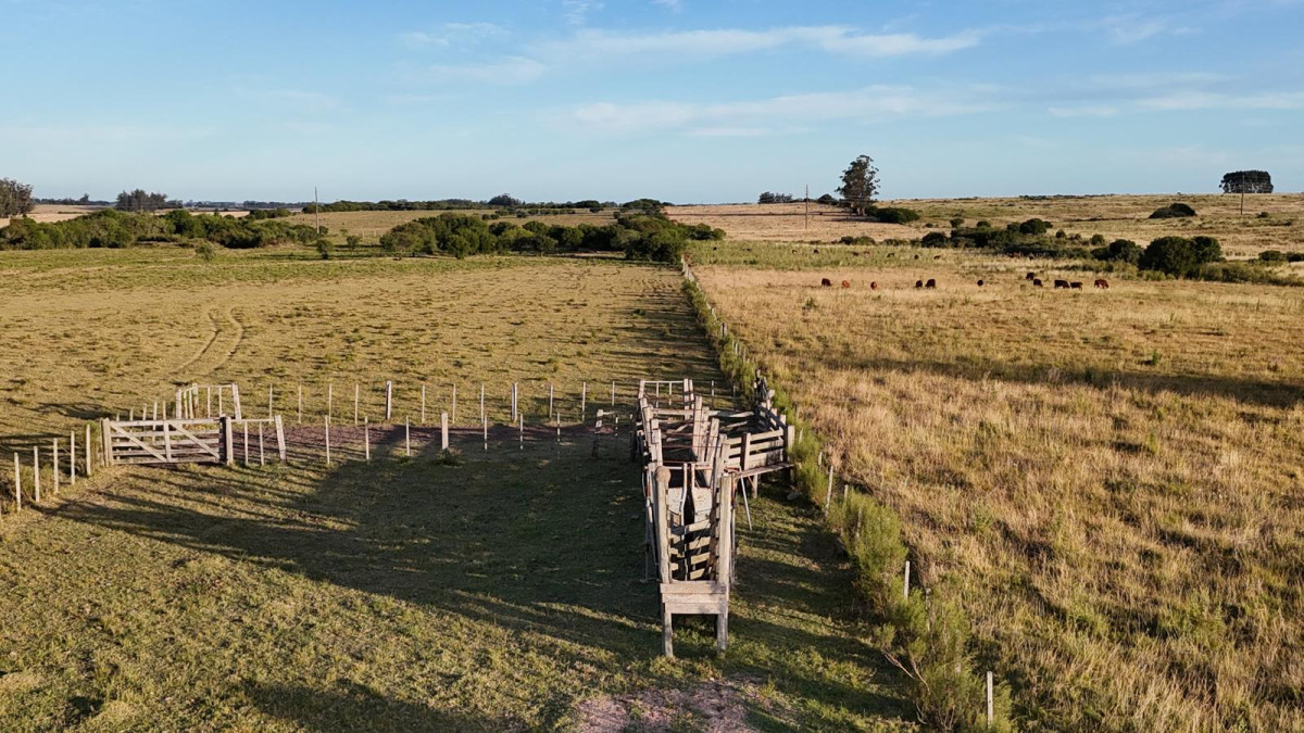 OPORTUNIDAD VENTA DE CHACRA 18 HAS 795 M2 ZONA ZANJA DE CHAVEZ