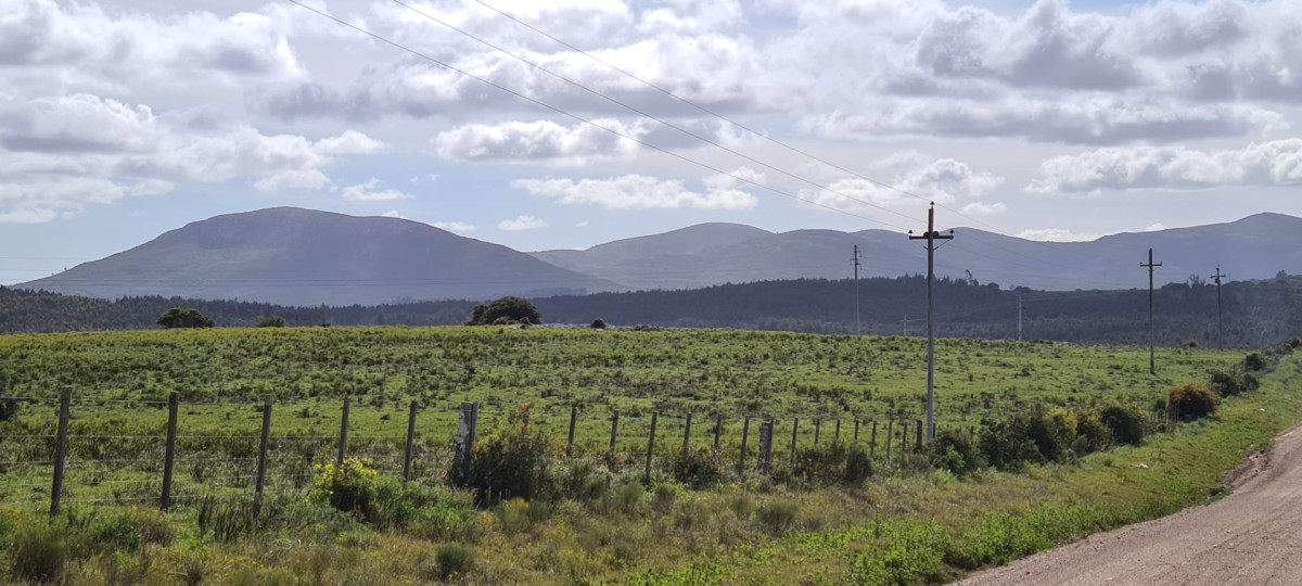 Excelente Oportunidad Venta de Chacras de 5 has en camino a la Nativa a U$S 74.000 