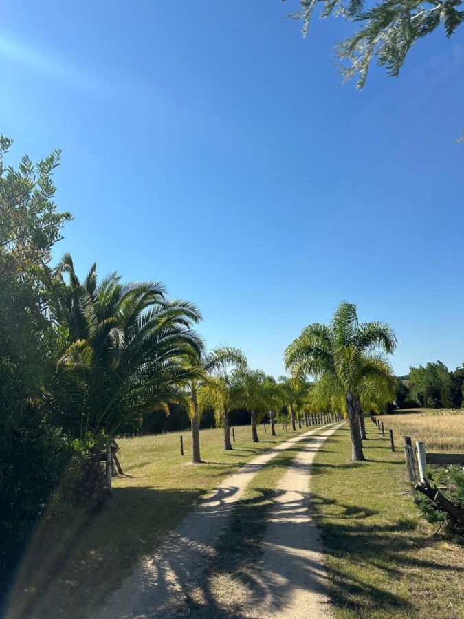 Oportunidad !!!! Vendo Chacra de Lujo con Dos Residencias y Emprendimiento en Funcionamiento