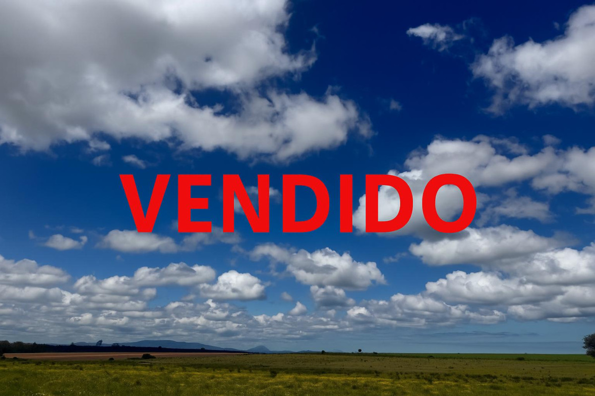 Chacra de 50 has ganadera en capilla de Cella con Casa  