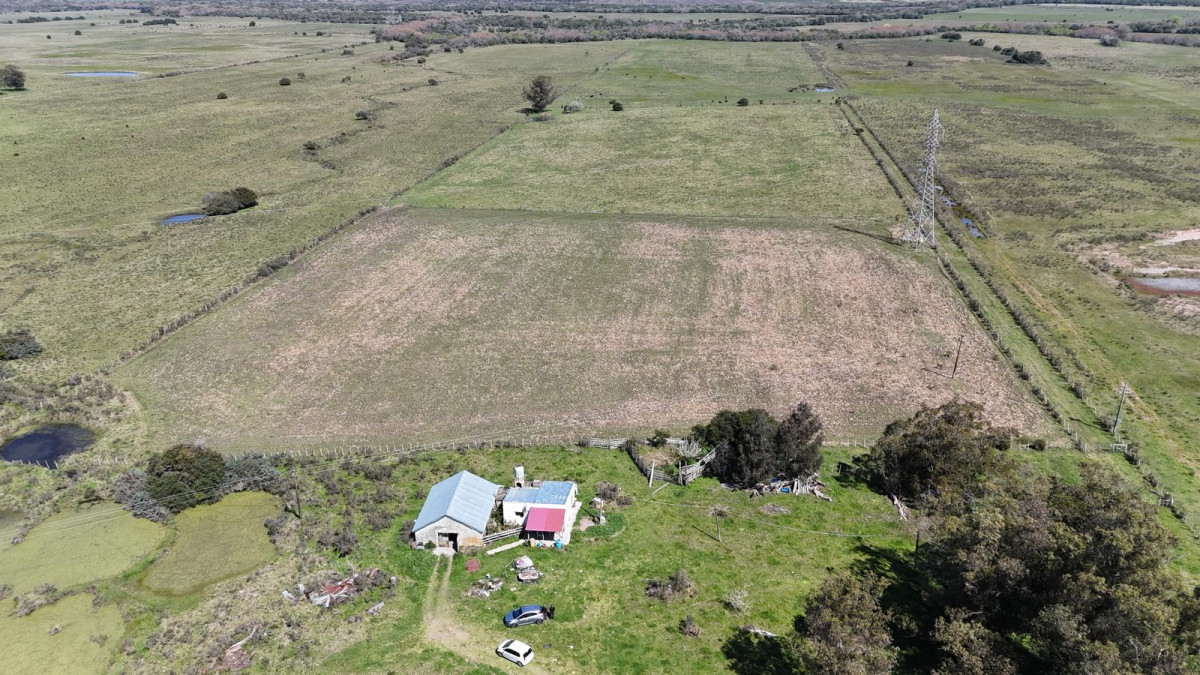 Venta de Campo de 20 has en Ruta 9 con casa y galpones 