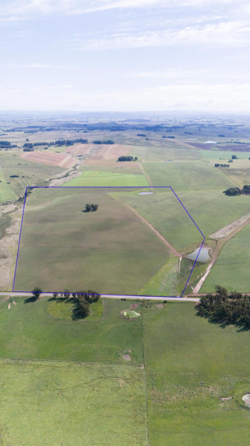 Campo de 42 Hectáreas con Alto Potencial de Inversión y Fraccionamiento - Ruta 104 & Camino del Medellín