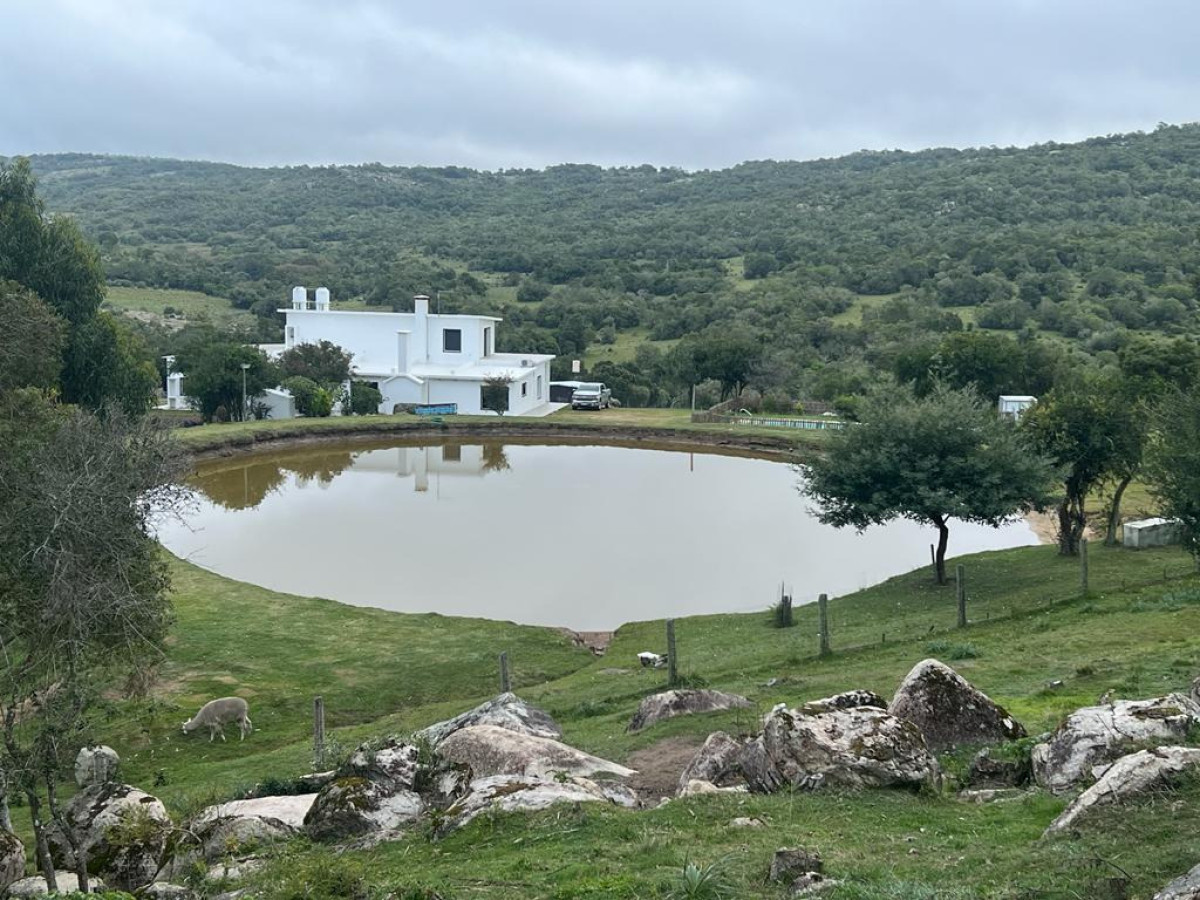 OPORTUNIDAD !!! ESTANCIA DE 252 HAS EN CAMINO CERRO CATEDRAL MALDONADO. 