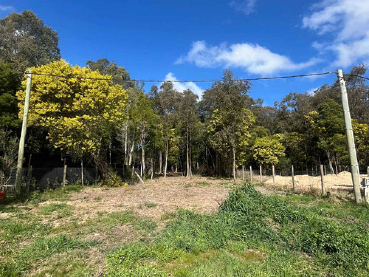 Terreno en venta en Sauce de Portezuelo