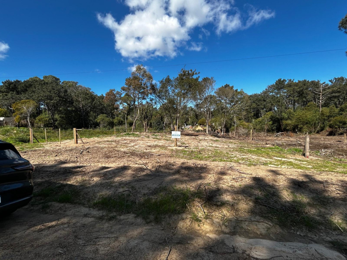 Vendo 3 Terrenos en Punta Colorada a 200 mts del mar 