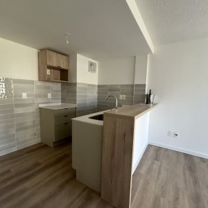 Alquiler Apartamento  1 dormitorio La Blanqueada Montevideo lr 