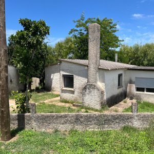 Venta Casa 3 Dormitorios Jose Batlle y Ordoñez Lavalleja N