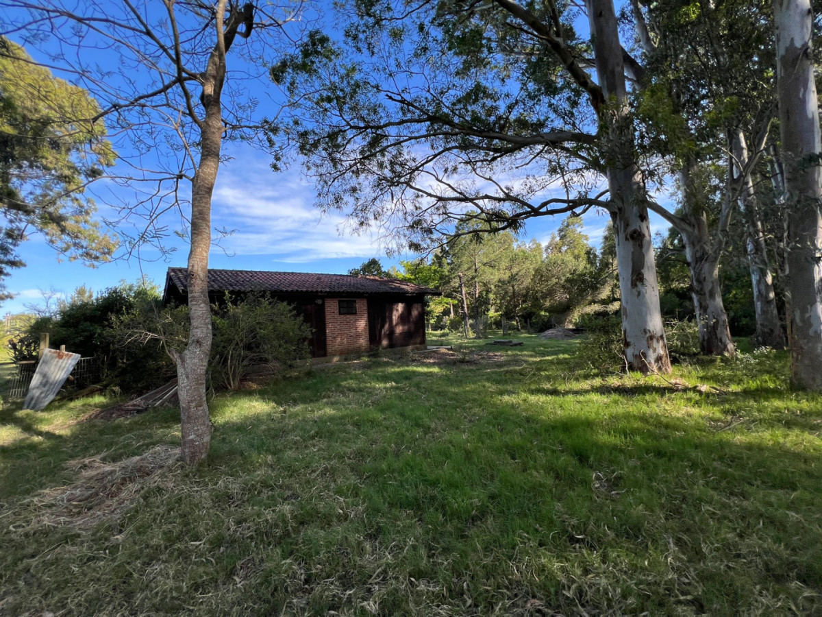 Venta Chacra de 3 Has en Las Flores