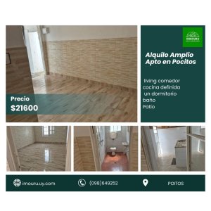 Alquilo Amplio y lindo Apto Pocitos