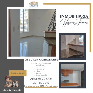 ALQUILER de duplex en PASO NOLINO
