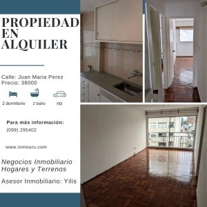 Alquilo Amplio y Luminoso Apartamento en Pocitos,