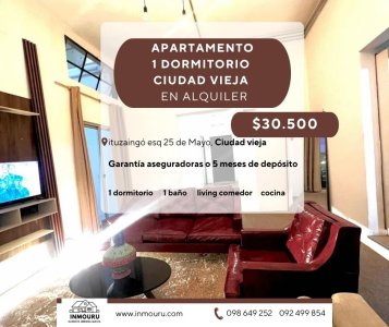 Se alquila apartamento tipo loft, 1 dormitorio, Ciudad Vieja 