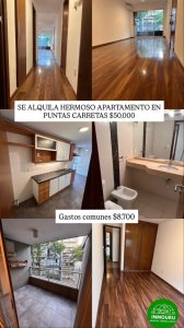 Se alquila apartamento en zona Punta Carretas 