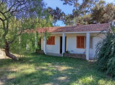 Alquiler de Casa un dormitorio con amplio terreno en Parque del Plata 