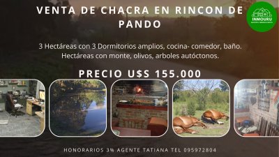 Venta de Chacra en Rincon de Pando