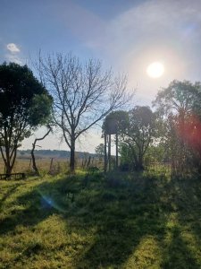 Se vende chacra con 2 casas y galpones, Migues, Canelones
