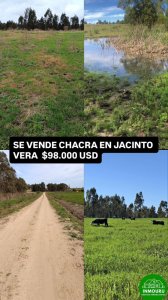 Se Vende chacra en San Jacinto